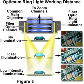 stereoreflected figure5