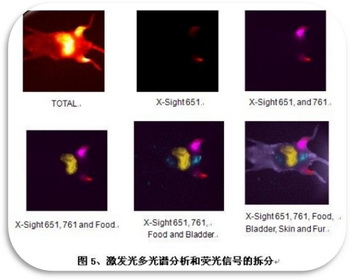 激發光多光譜分析和熒光信號的拆分