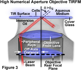 TIRFM高數值孔徑的物鏡