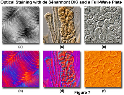 de senarmont intro figure7