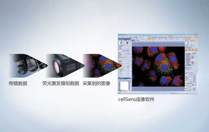 奧林巴斯顯微鏡