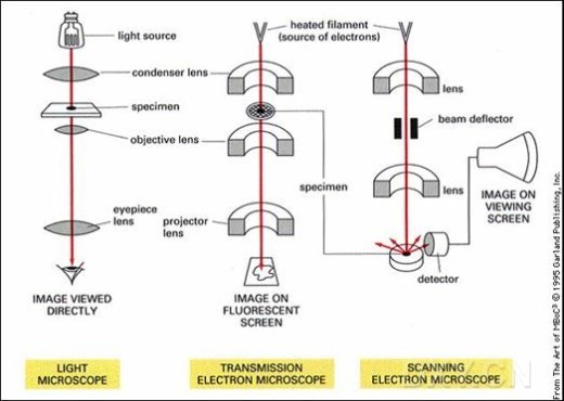 光學顯微鏡、TEM、SEM成像原理比較
