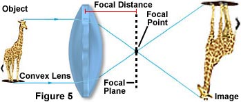 convex lens4