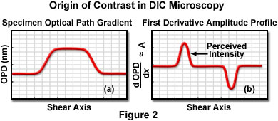 de senarmont intro figure2