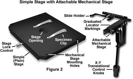 simple stage with attachable mechanical stage