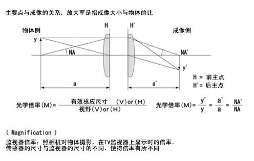 光學倍率