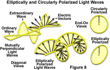 polarized light figure8