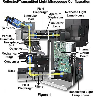 trans micro