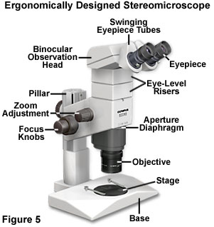 ergonomics figure5