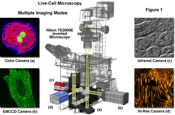 imaging systems figure1