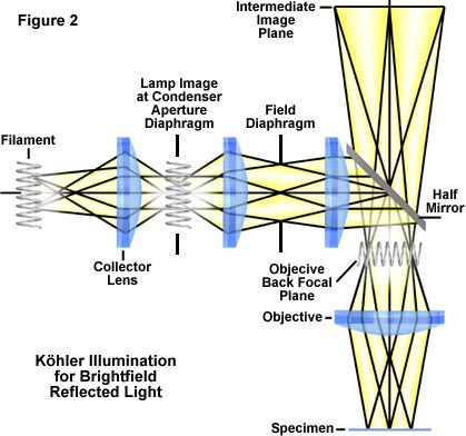 reflectkohler