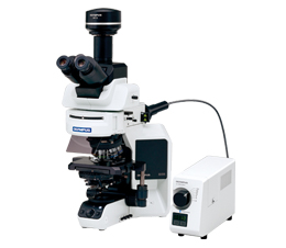 System Microscope BX53