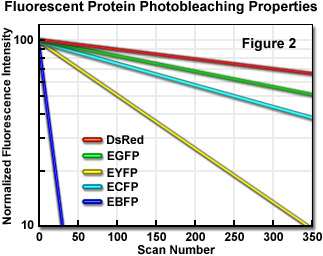 fpimaging figure2