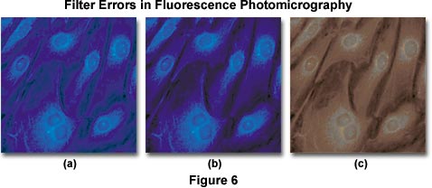 filter errors