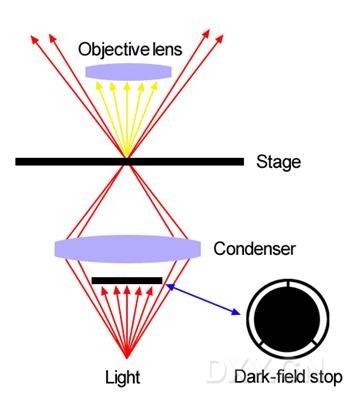 暗視野照明方式