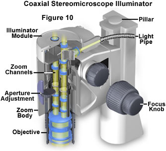 stereoreflected figure10