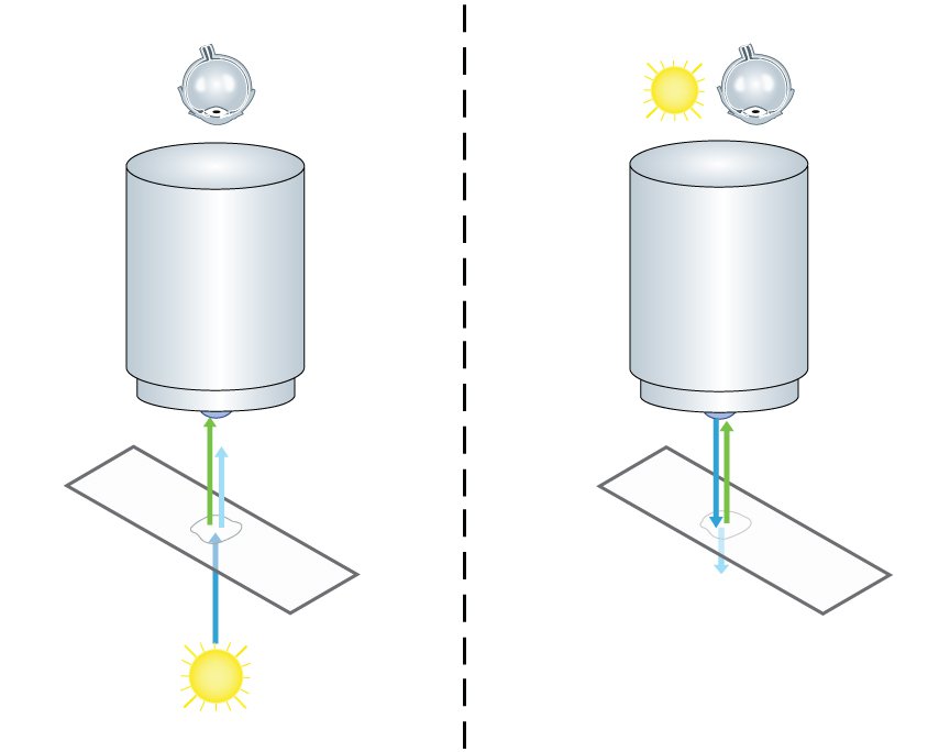圖1：熒光顯微鏡中epi-照明的好處：在透射照明（左）的情況下，光源和圖像檢測位于目標的相反側。 使用這種設置，一個明顯的限制是激發光（淺藍色）的不必要的檢測。 相比之下，Epi-Illumination（右圖）使用照明目標以及圖像檢測。 對于熒光顯微鏡來說，這意味著用戶不會暴露于激發光。
