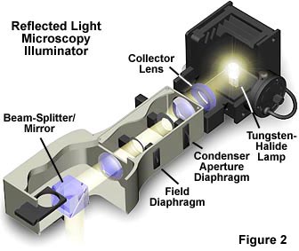 verticalilluminator