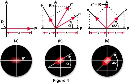 vectors