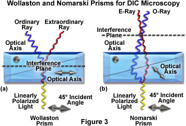 de senarmont intro figure3