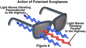 polarized light figure4