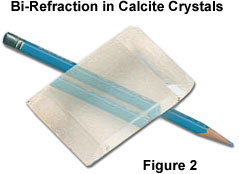 polarized light figure2