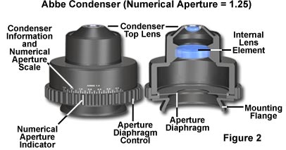 condenser figure2