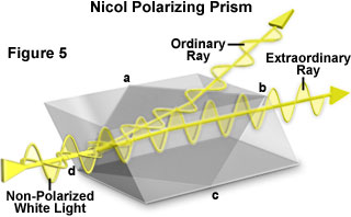 polarized light figure5