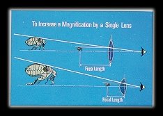 放大鏡的原理