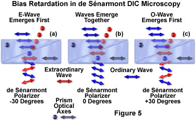 de senarmont intro figure5