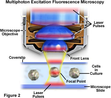 macrofocus