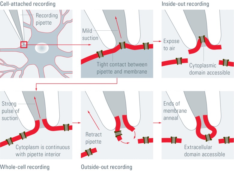 Figure-3b