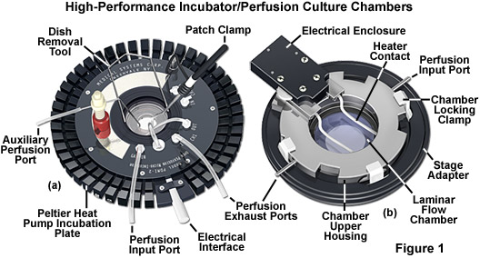 chambers figure1