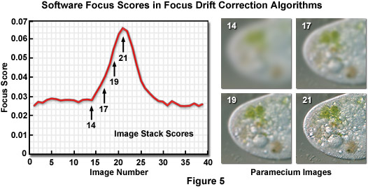 focus drift figure5