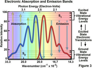 fluorescenceintro figure3