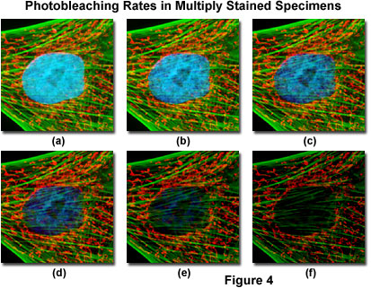 fluorointro figure4