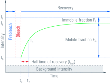 Figure_1_2-spaltig_05