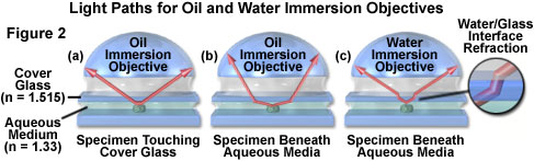 water immersion figure2