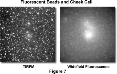 tirfm intro figure7