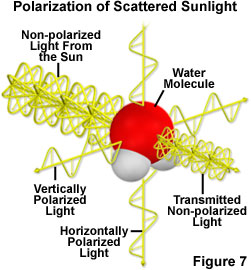 polarized light figure7