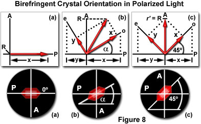 birefringencefigure8