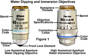 water immersion figure1