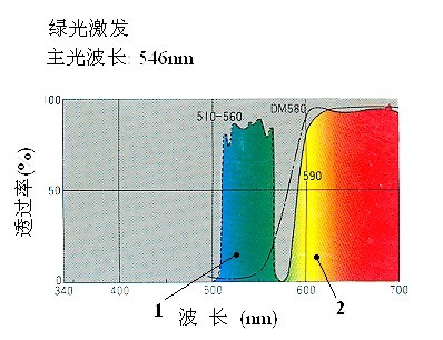 激發光的顏色