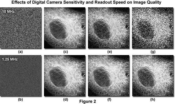 imaging systems figure2