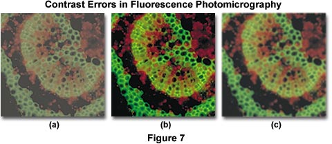 contrast errors