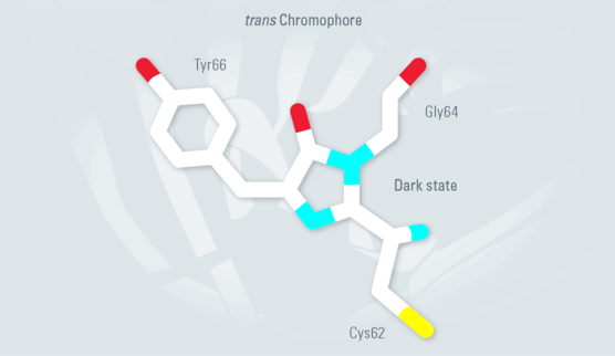 Dronpa-Dark-state-state_02