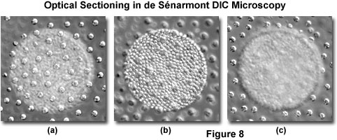 de senarmont intro figure8