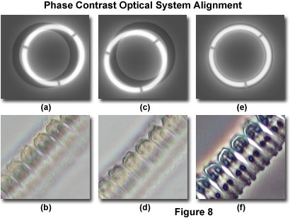 phase configuration figure8