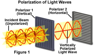 polarized light figure1