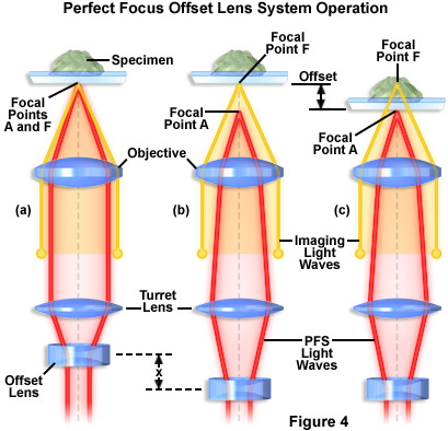 perfect focus figure4